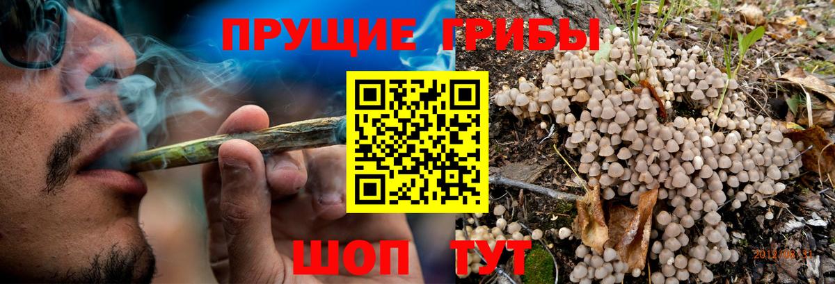 купить закладку  Вход с VPN  Батайск  Псилоцибиновые грибы MAGIC MUSHROOMS 